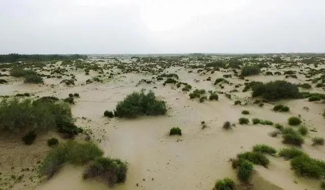 1646032550 图1：敦煌土地沙漠化问题严重